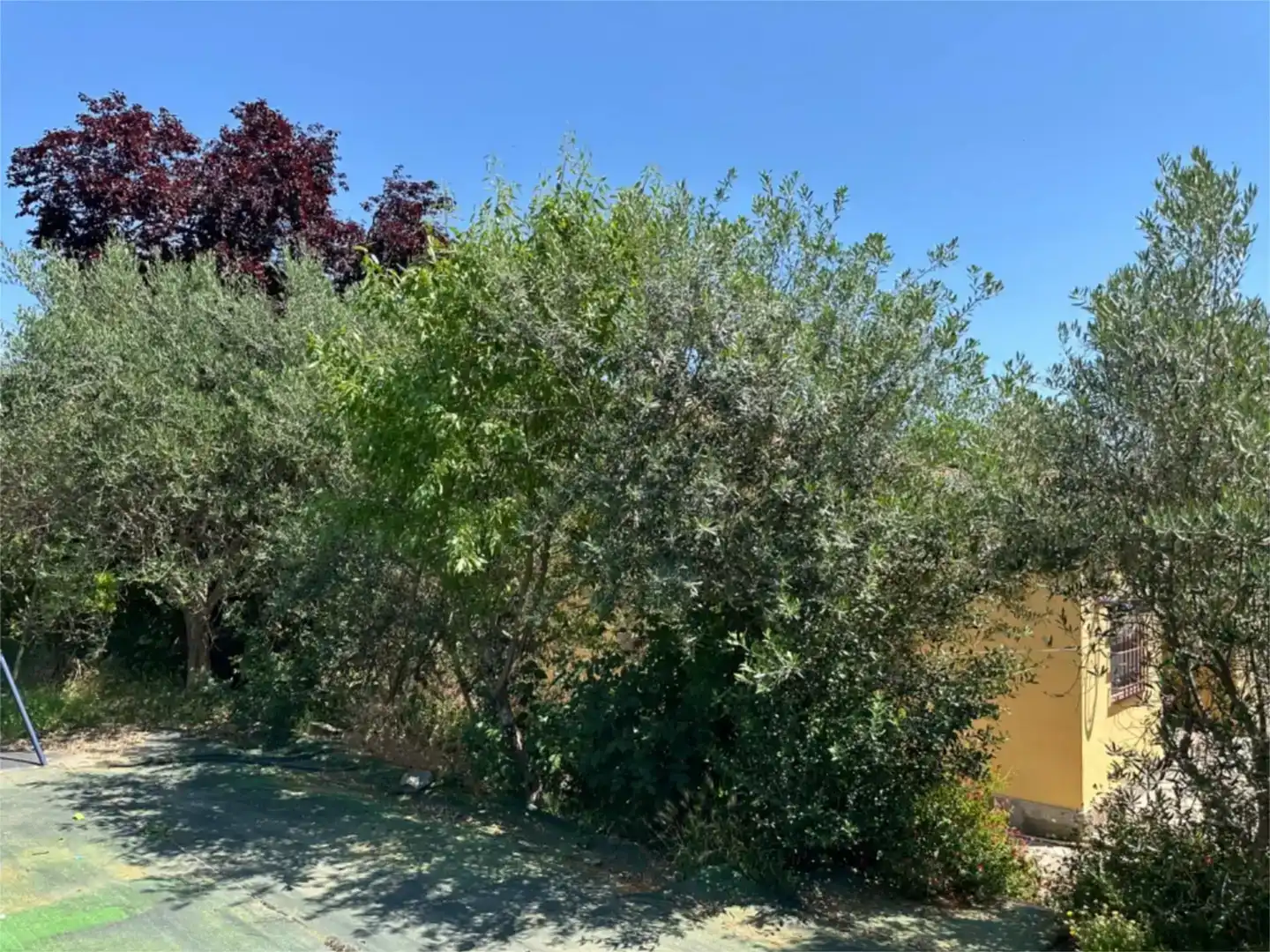 Finca rústica en venda en  Lleida Capital