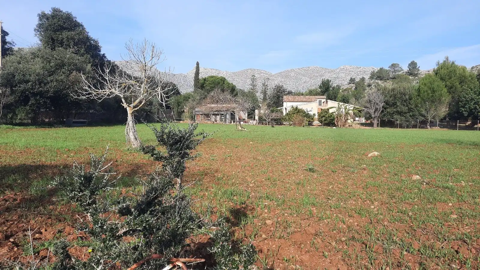 Landhaus zum Verkauf in Pollença Poble, imagen 35