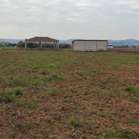 Terreno en Venta en El Higuerón