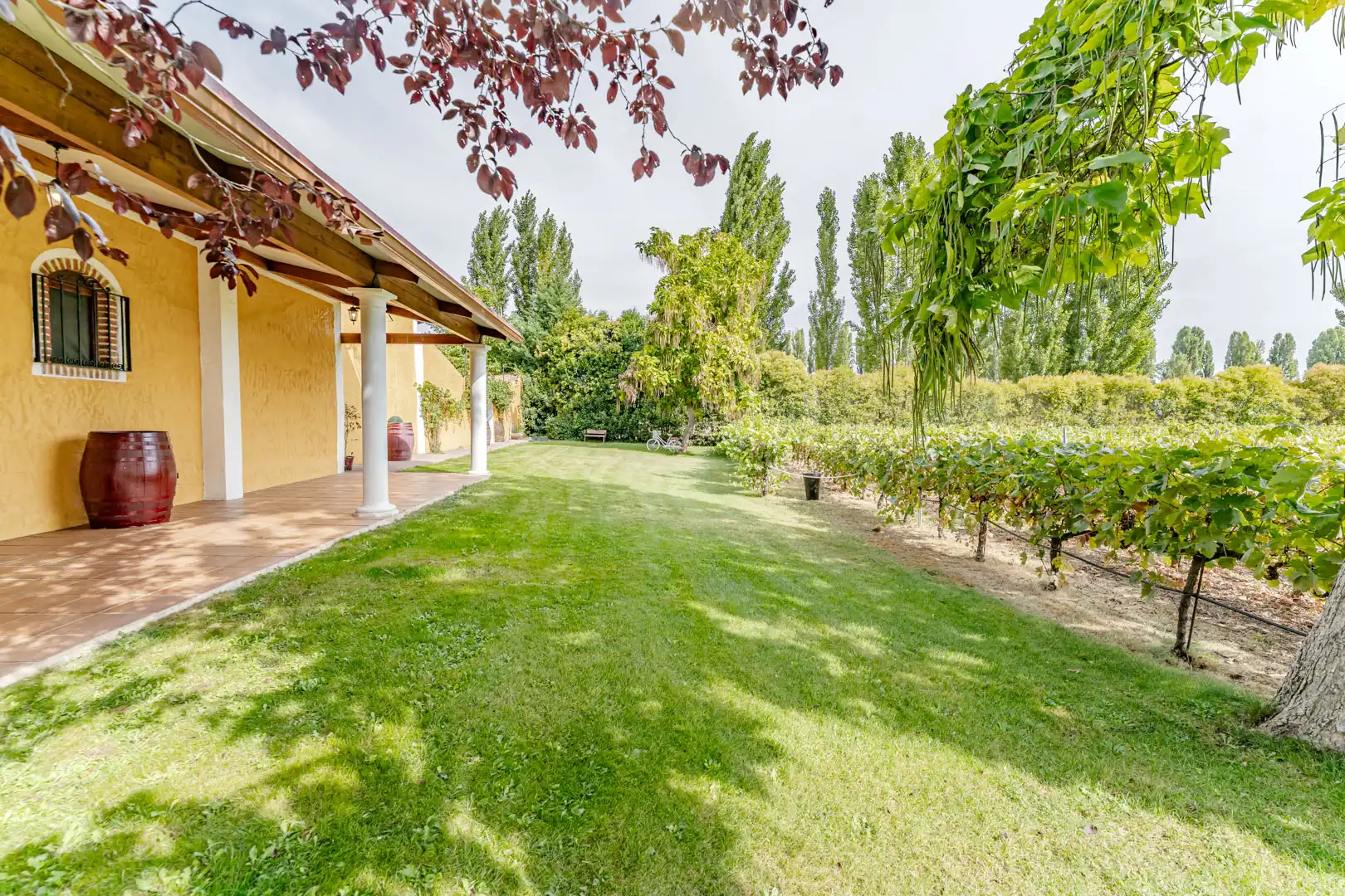 Jardín de Edificio en venta en Laguna de Duero