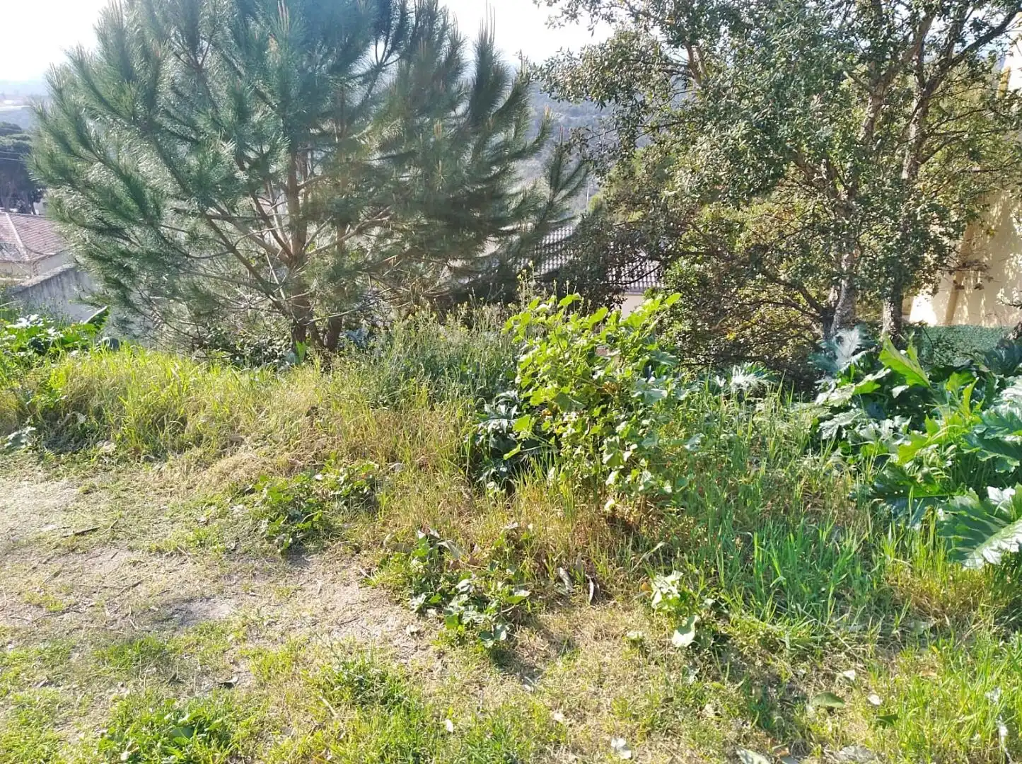Terreno residencial en venta en Mas Mora - Sant Daniel, imagen 3