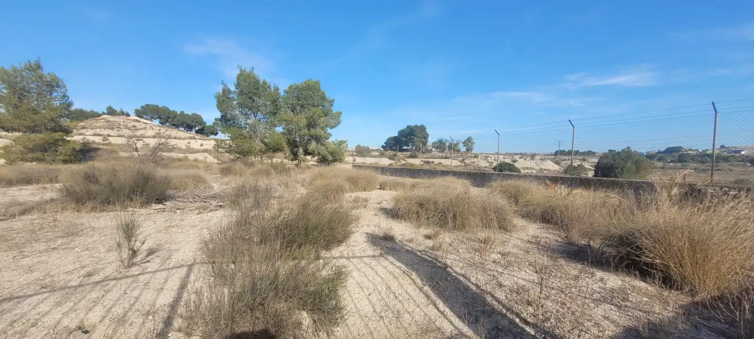 Land for sale in Molina de Segura