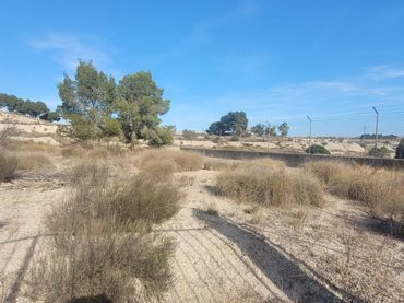Terreno rustico in vendita a Molina de Segura - Camino del Panderón 31