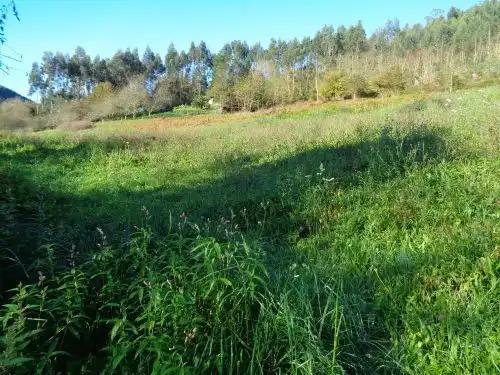 Terreno rustico in vendita a Parroquias suroccidentales, imagen 3