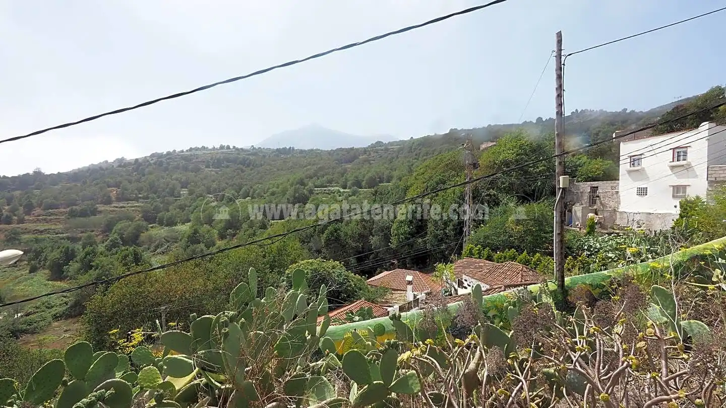 Casa amb jardí en venda a La Vega - El Amparo - Cueva del Viento, imagen 16