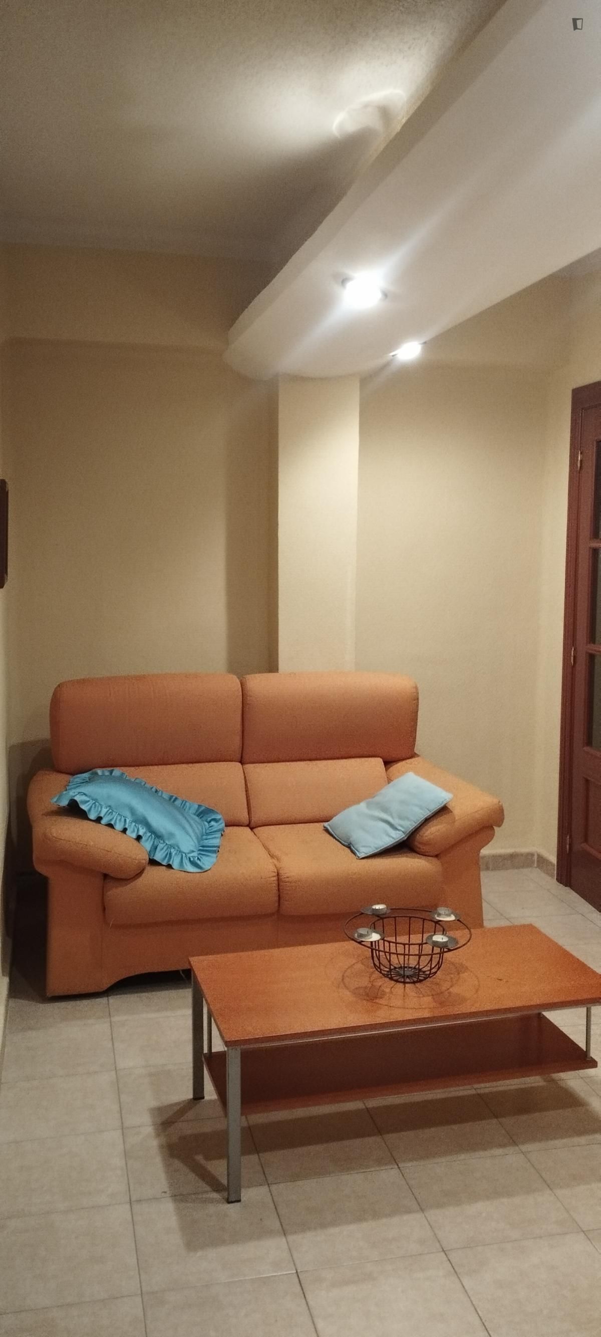 Sala d'estar de Apartament de lloguer en Salamanca Capital amb Moblat, Forn i Rentadora