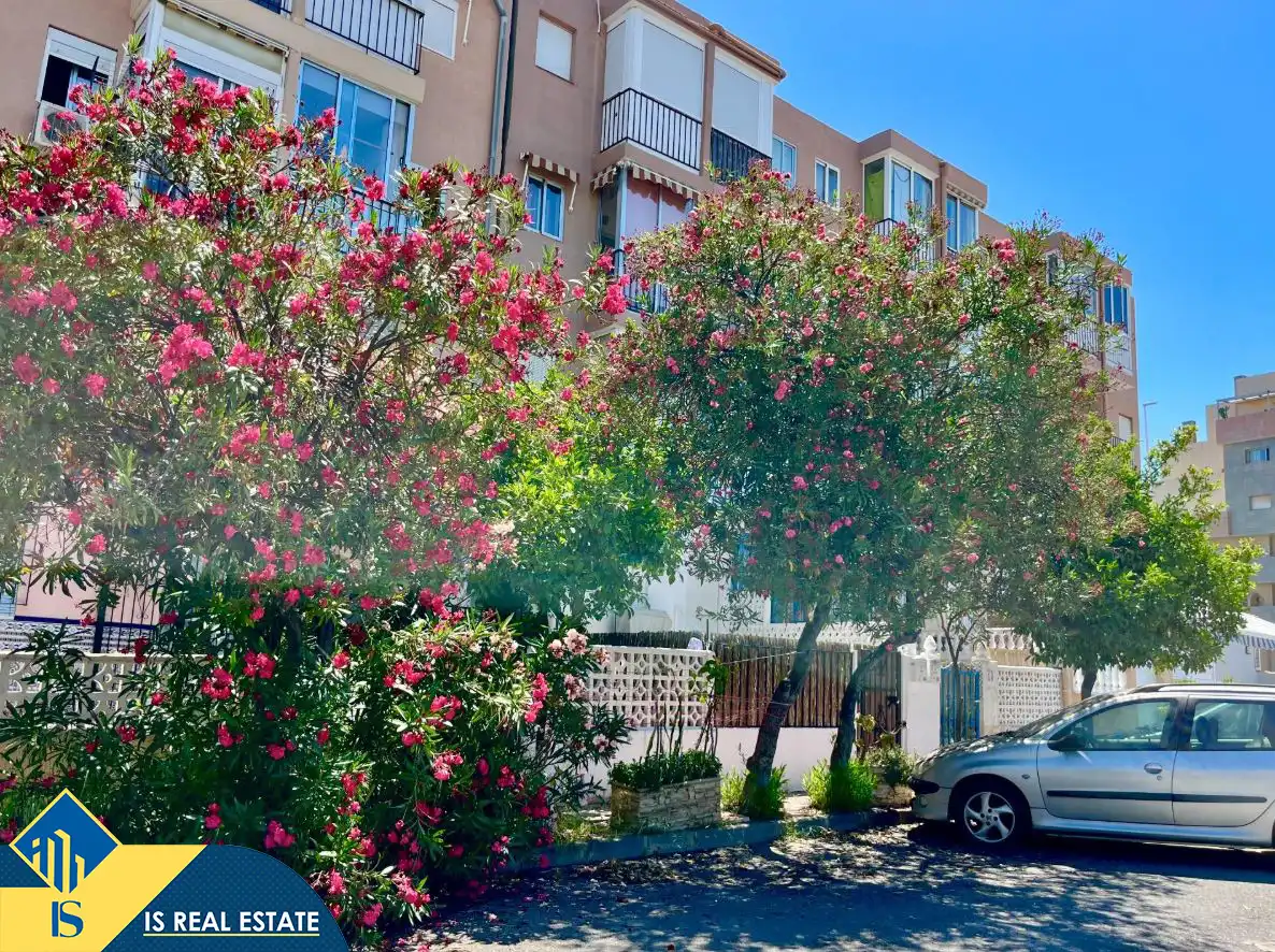 Studio à vendre à La Mata, imagen 28