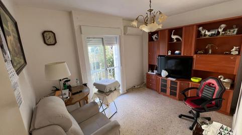 Photo 3 of Flat for sale in Calle Corral de la Parra, Pino Montano - Consolación, Sevilla