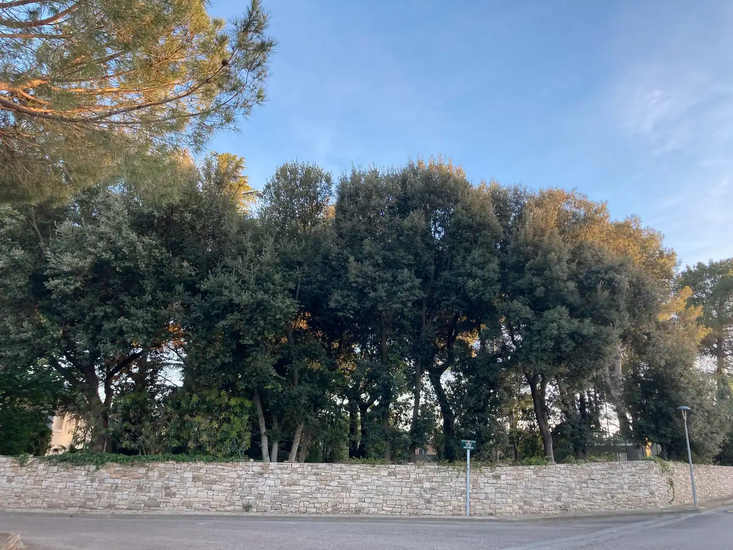 Terreny residencial en venda a La Pobla de Claramunt, imagen 3