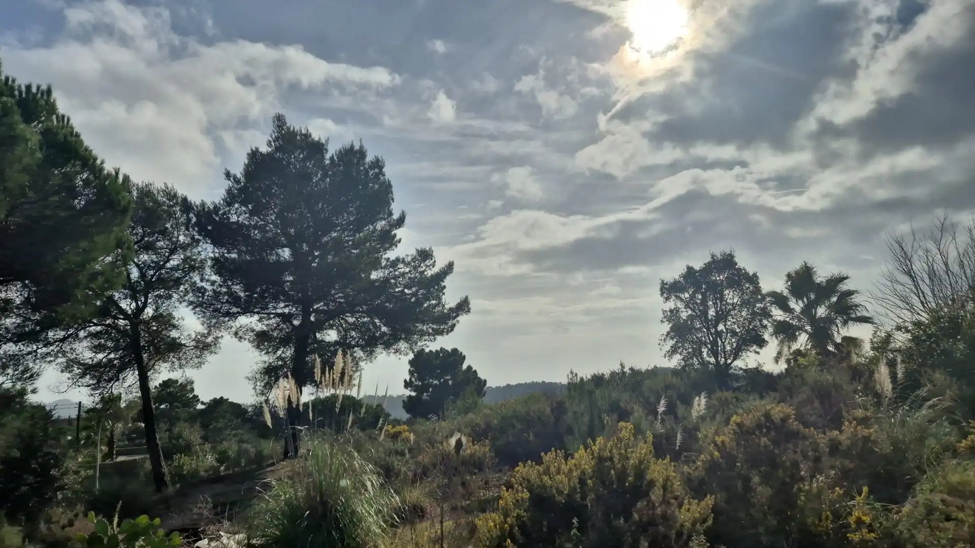 Terrenos y solares en venta en Lloret Residencial - Montlloret, imagen 5
