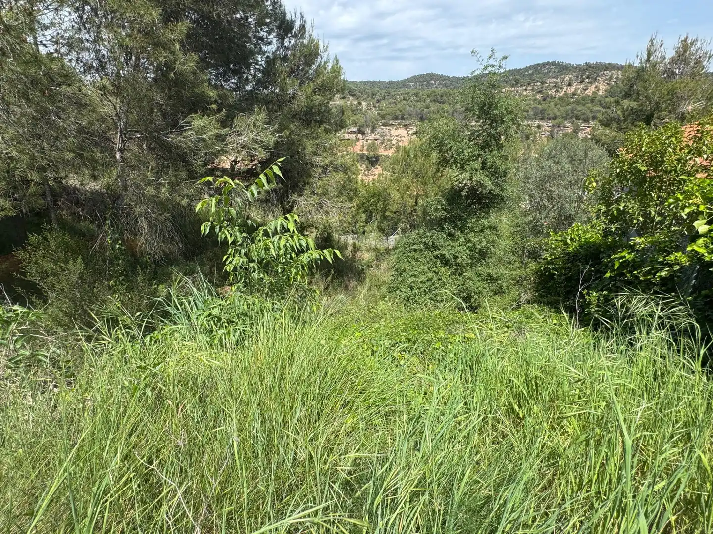 Residential land for sale in La Pobla de Claramunt, imagen 6