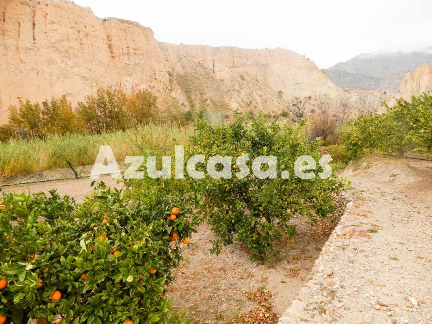 Finca rústica en venda a Jijona / Xixona