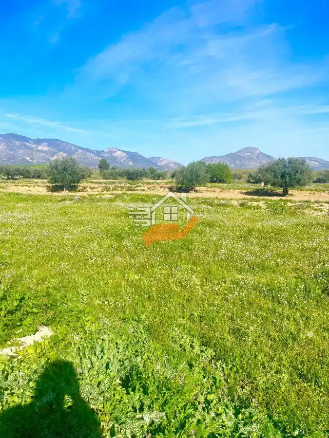 Lands and plots for sale in Pedanías Norte, imagen 38