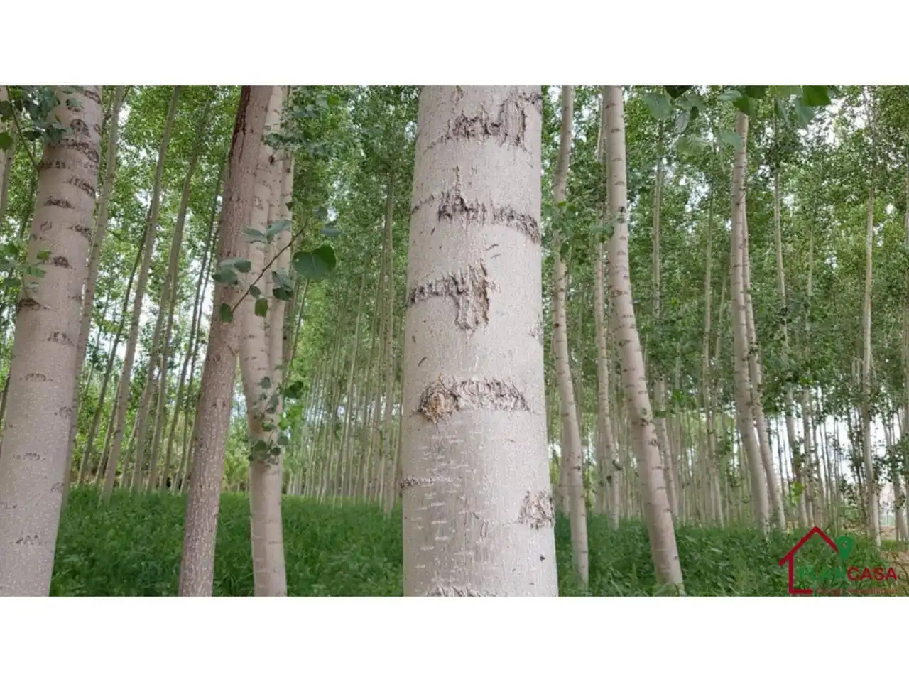Exterior view of Land for sale in Purullena