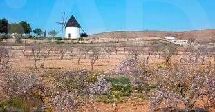 Casa-chalet en Venta en Las Negras