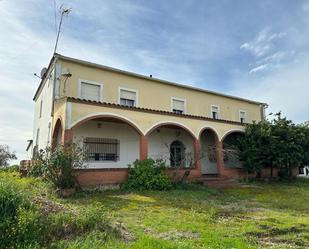 Exterior view of House or chalet for sale in Santa Amalia  with Furnished
