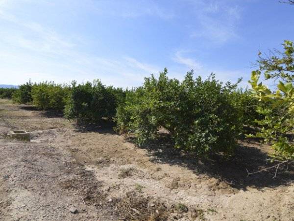 Terreno en Venta en Ulea