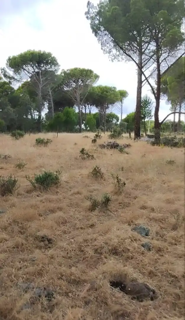 Terreni e lotti in vendita a La Adrada, imagen 4