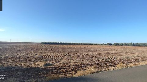 Se vende parcela rustica de 13.800 m2, a pie de carretera., immagine 2