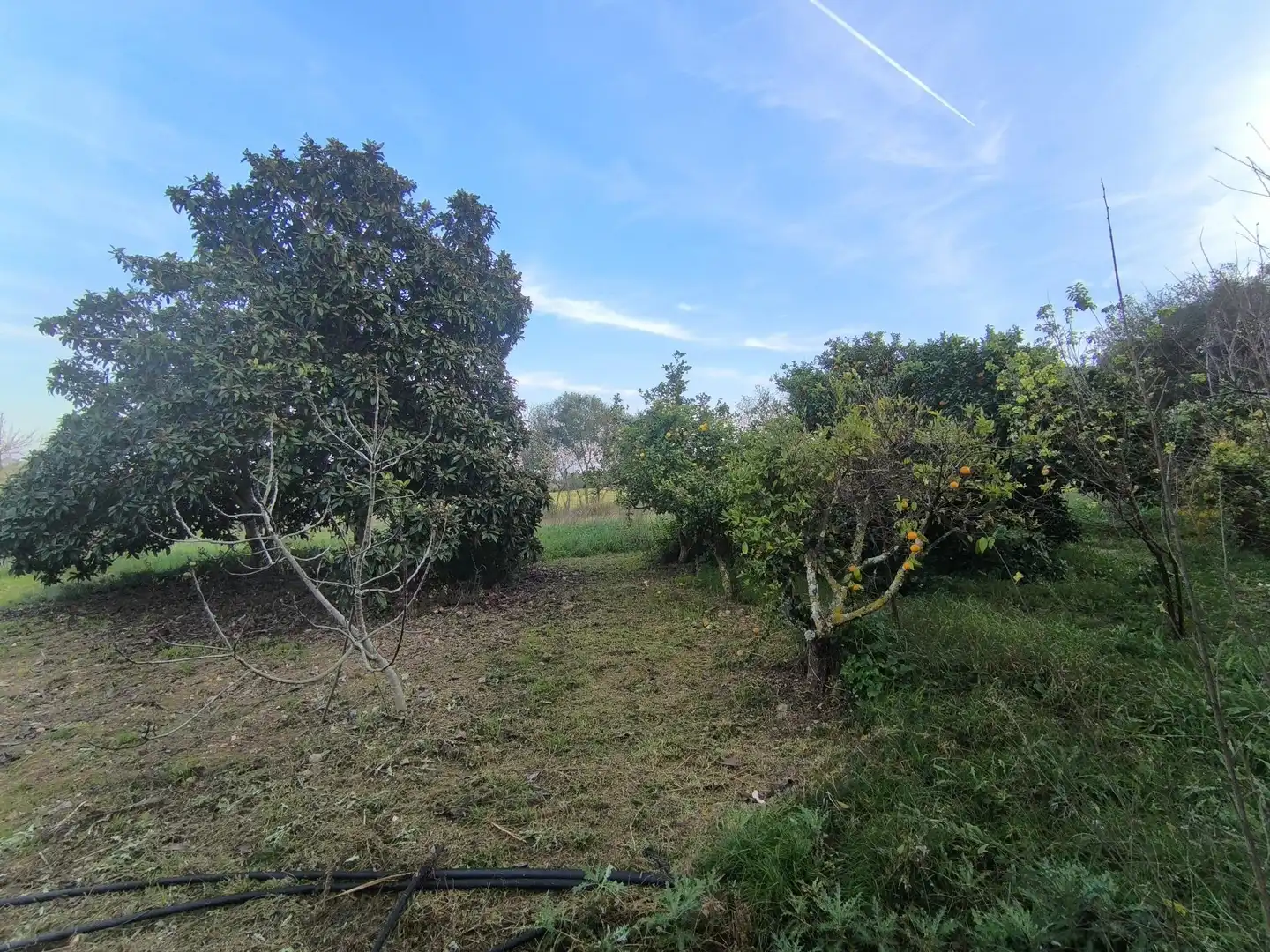 Country homes for sale in Sant Joan  with Air Conditioner, Private garden and Terrace