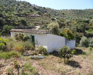 Jardí de Finca rústica en venda en Sayalonga amb Terrassa