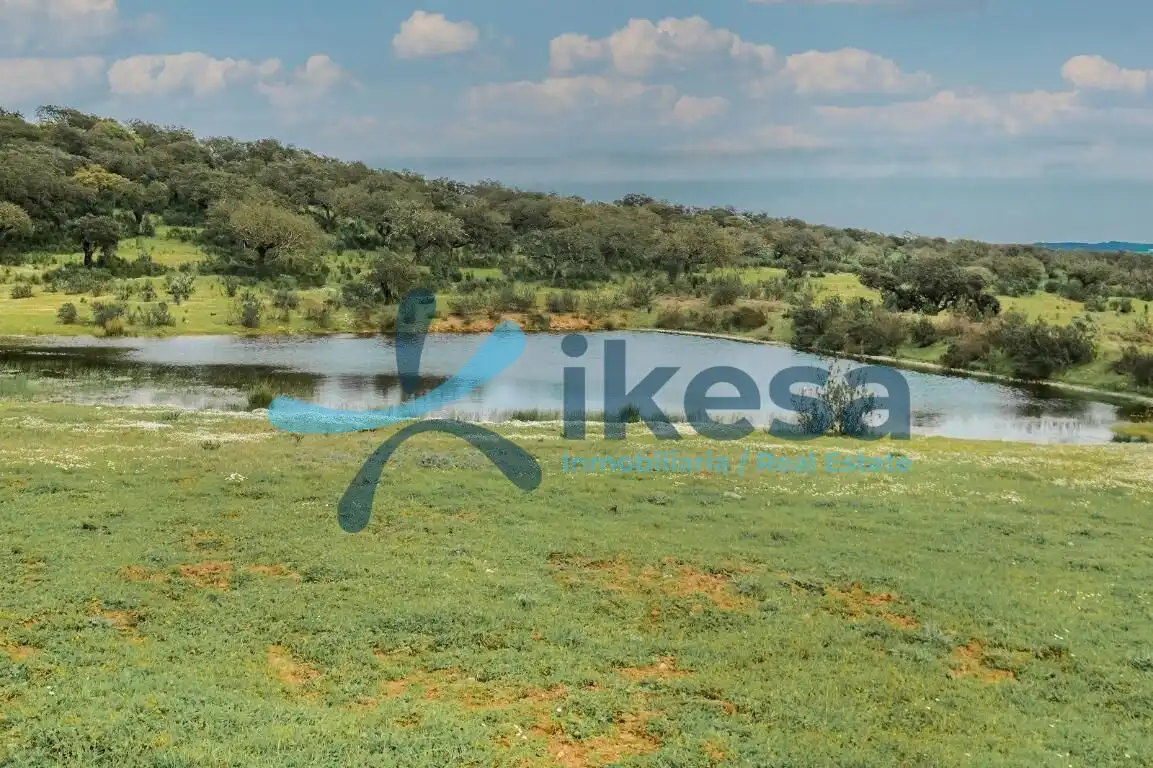 Land for sale in Puebla de Guzmán