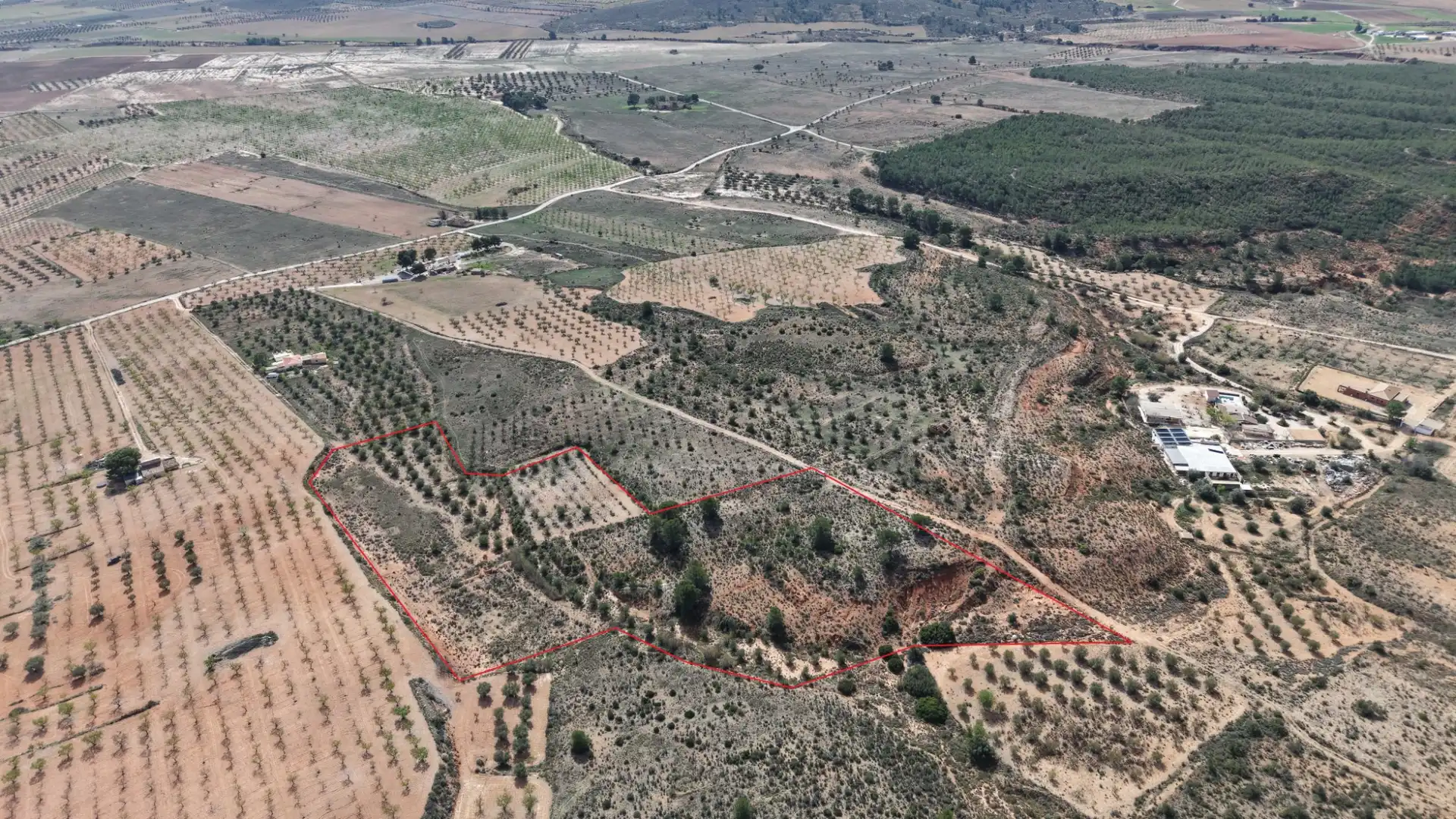 Residential land for sale in Yecla, imagen 9