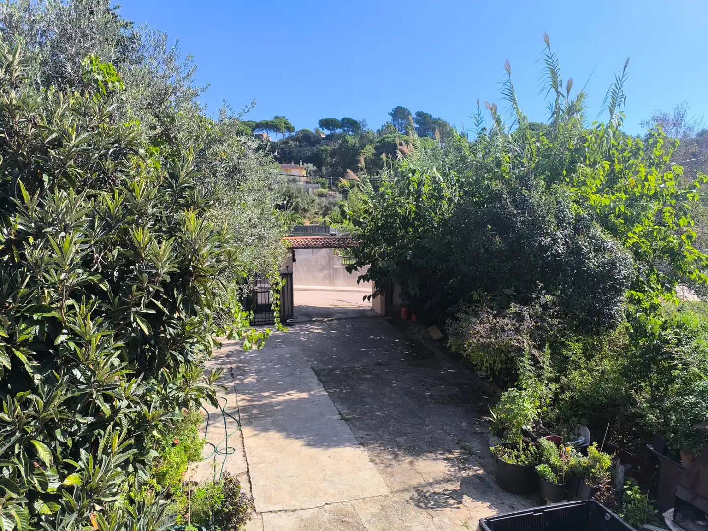 Casa con jardín en venta en Riudarenes
