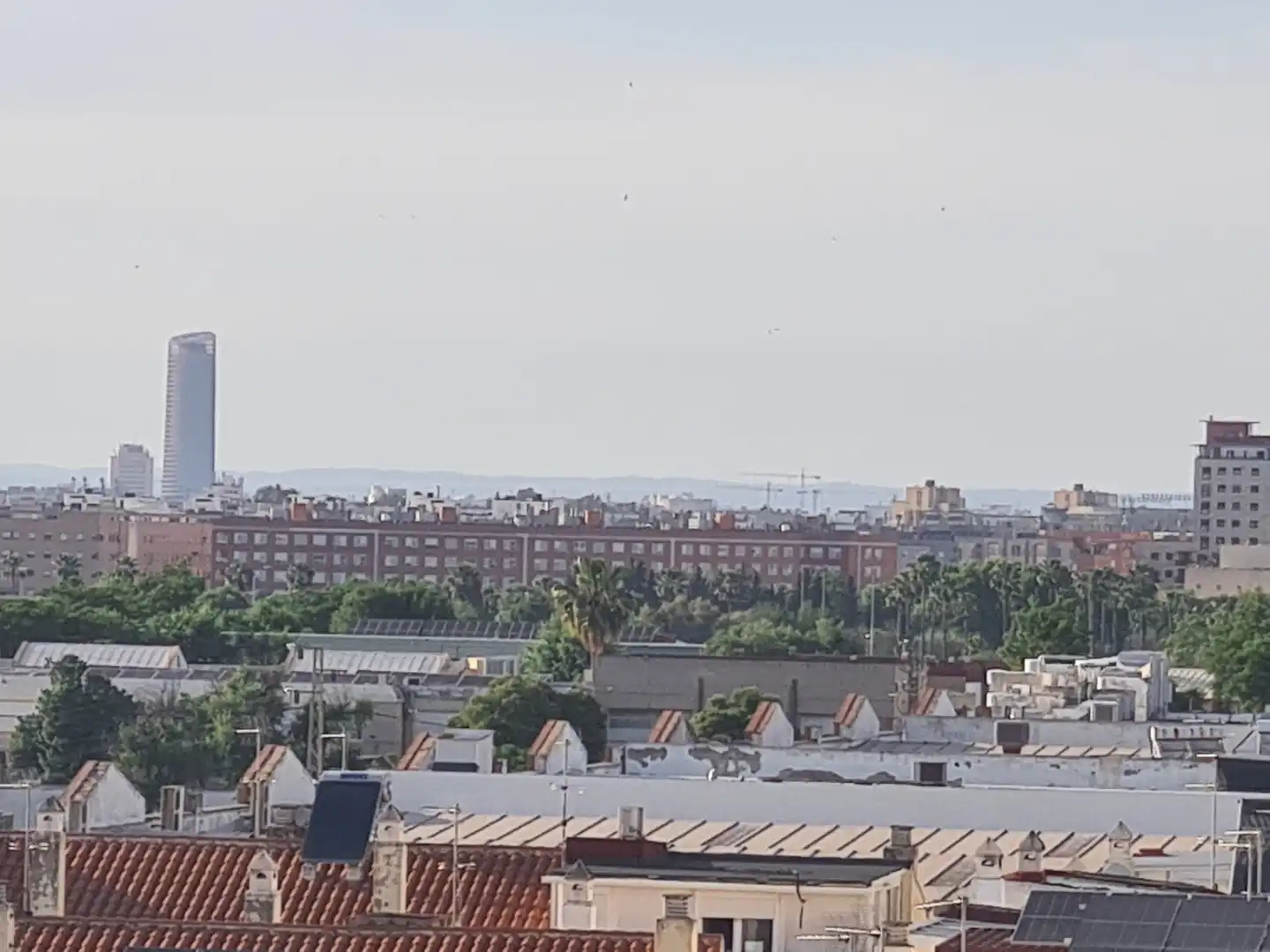 Vista exterior de Ático en venta en Sevilla con Aire acondicionado, Calefacción y Terraza
