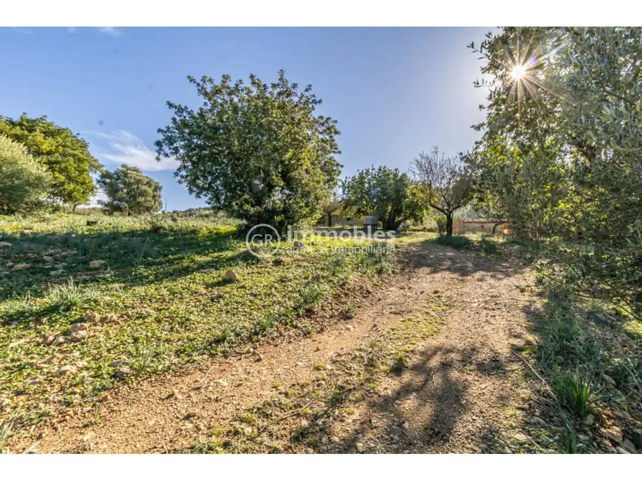 Terreny rústic en venda a Alaró, imagen 14