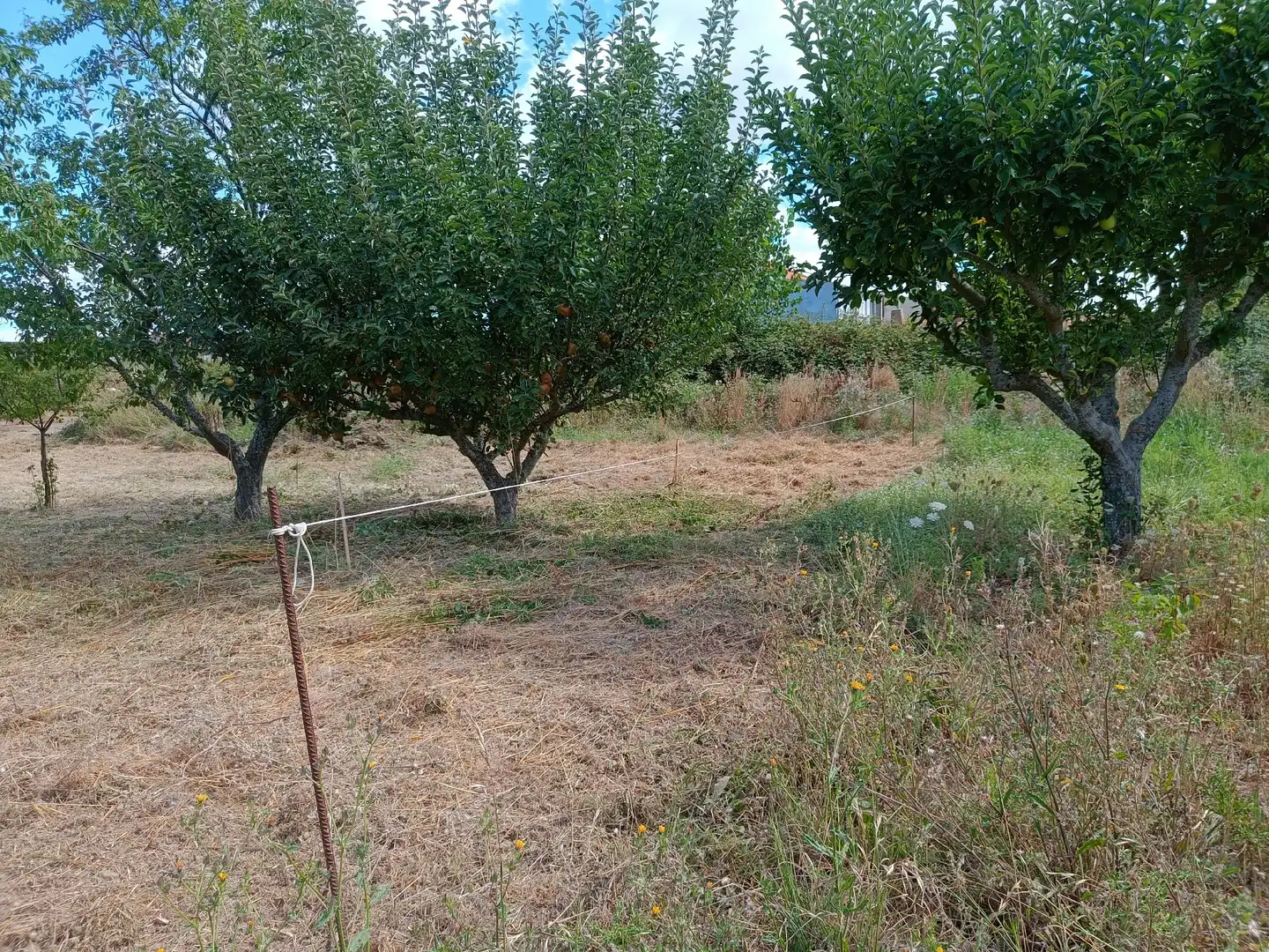 Residential for sale in Castrocalbón