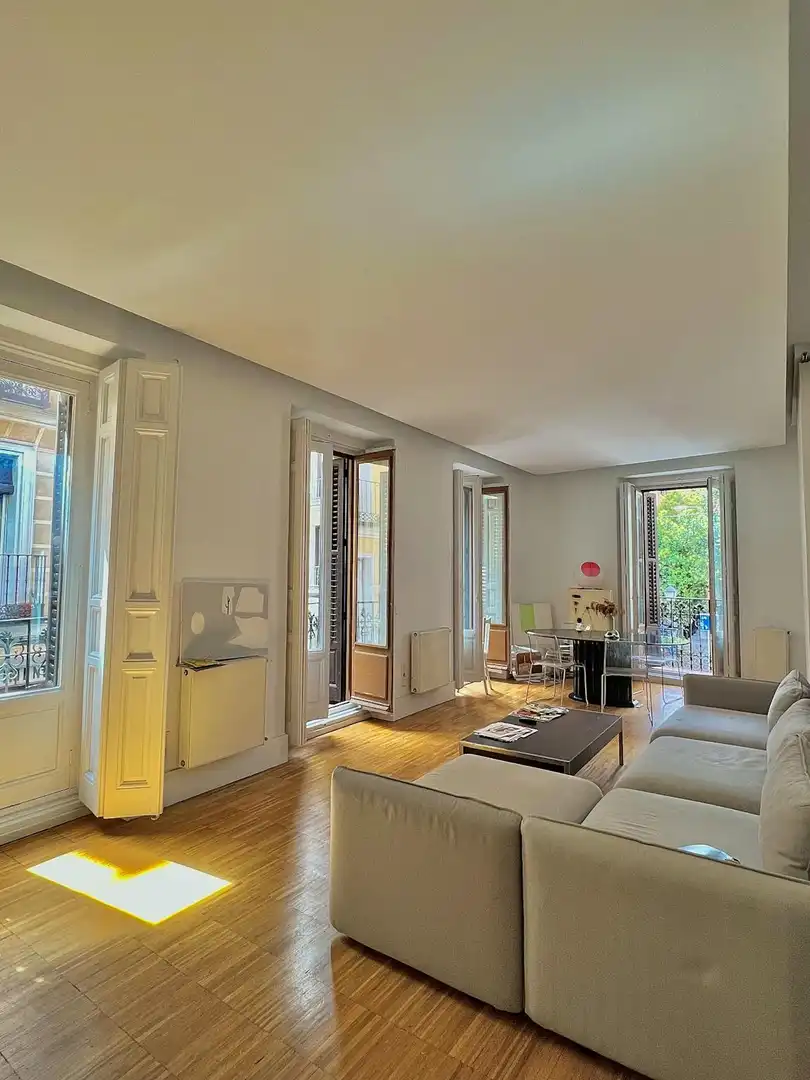 Living room of Flat for rent in Madrid  with Air Conditioner, Heating and Private garden