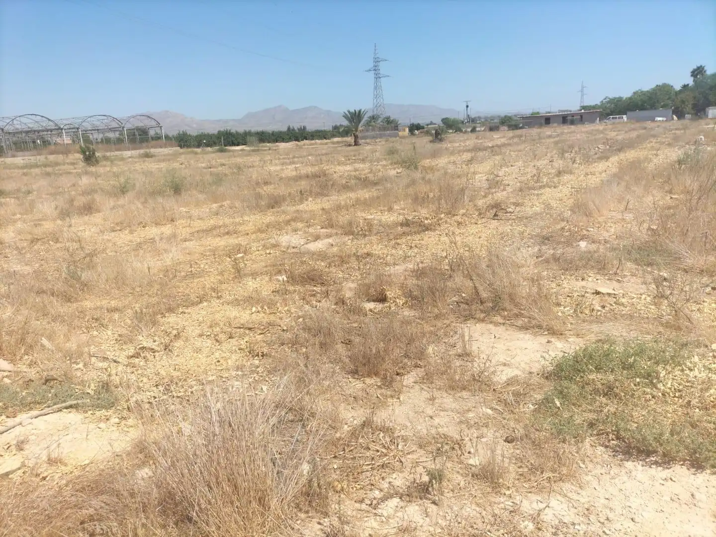 Rural land for sale in La Murada - Los Vicentes, imagen 12