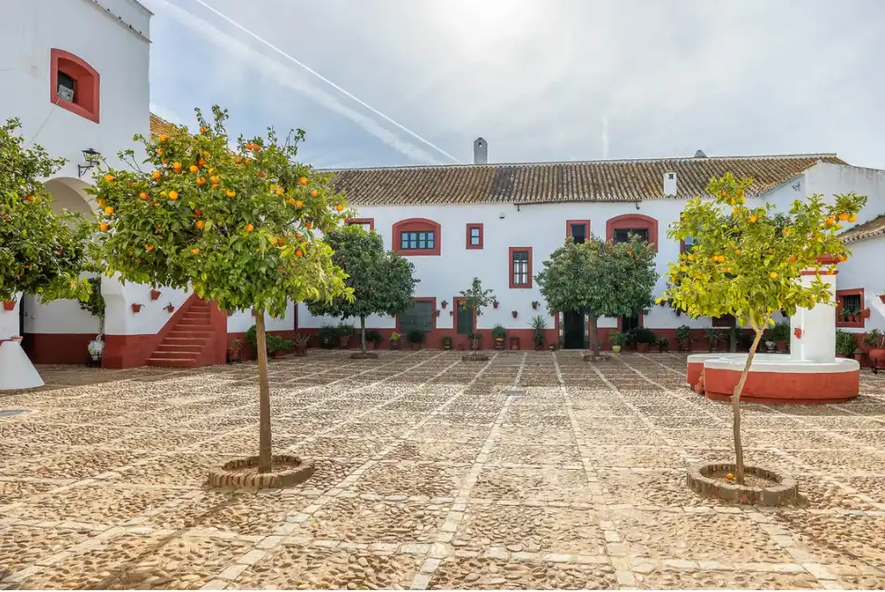 Casa rústica amb terrassa en venda a Carretera Guadajoz, imagen 35