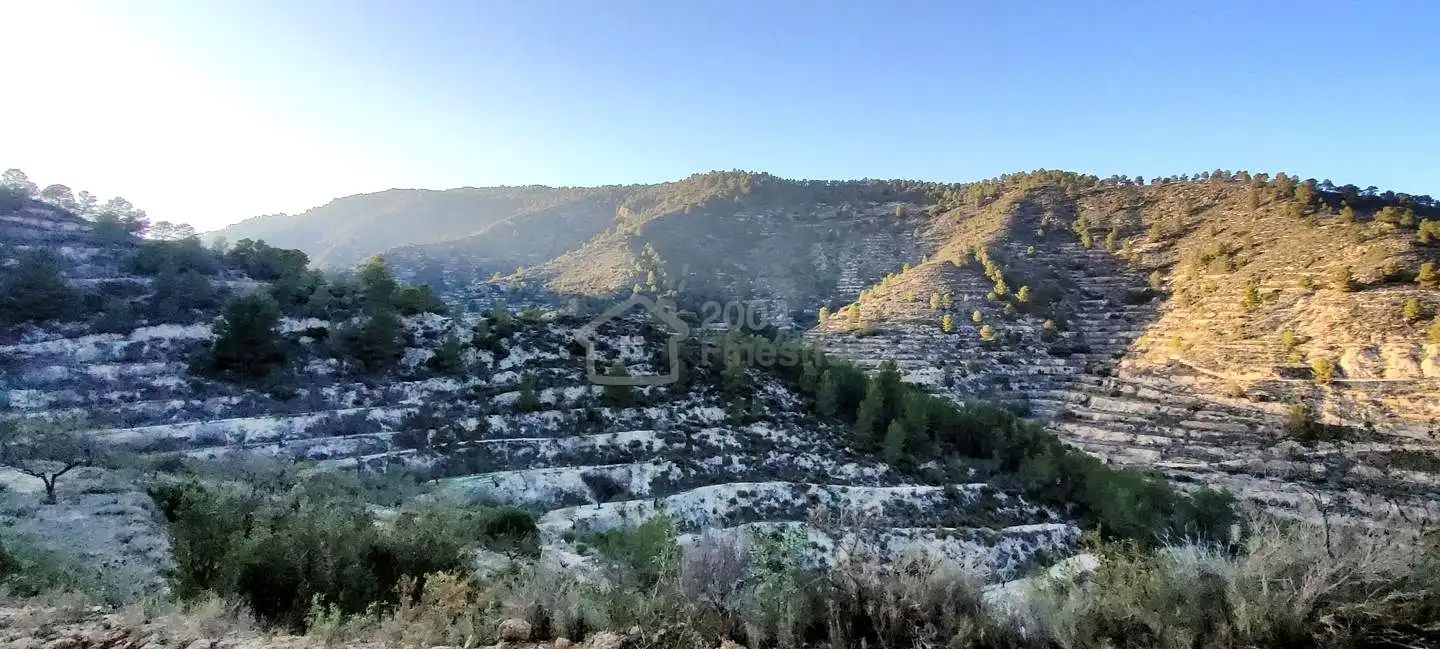Terreny rústic en venda a Les Urques