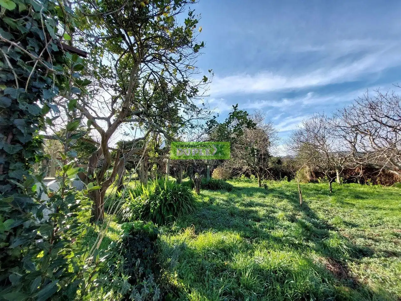 Maison avec jardin à vendre à Zona Fernández Ladreda, imagen 74