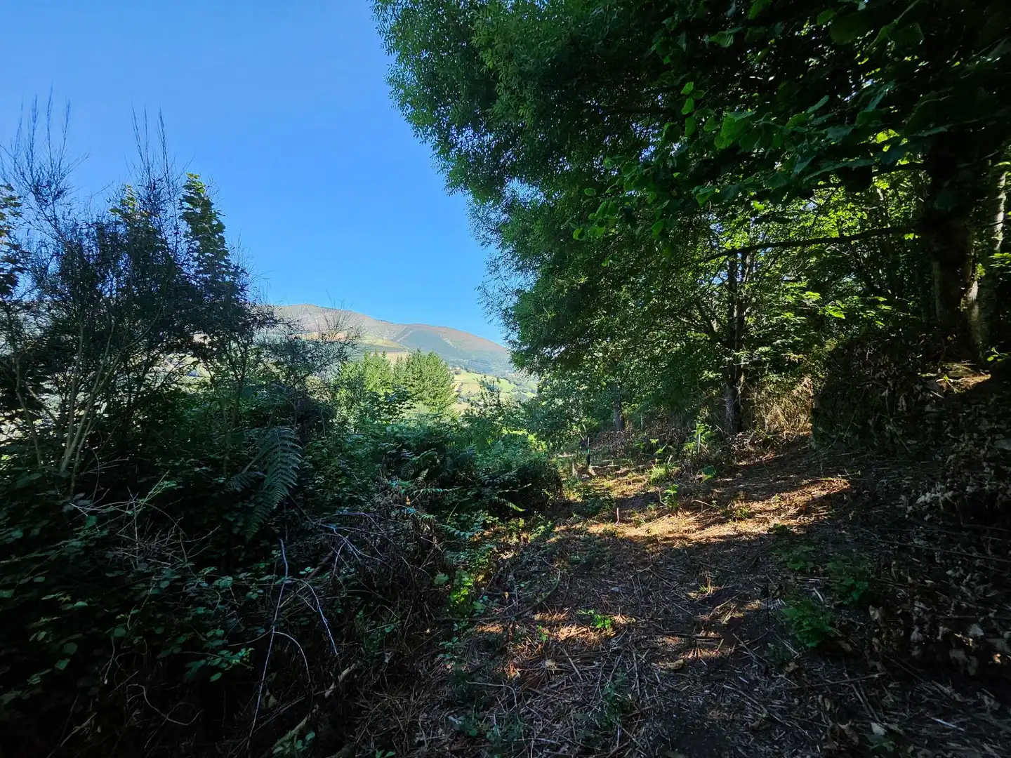 Country homes for sale in Allande