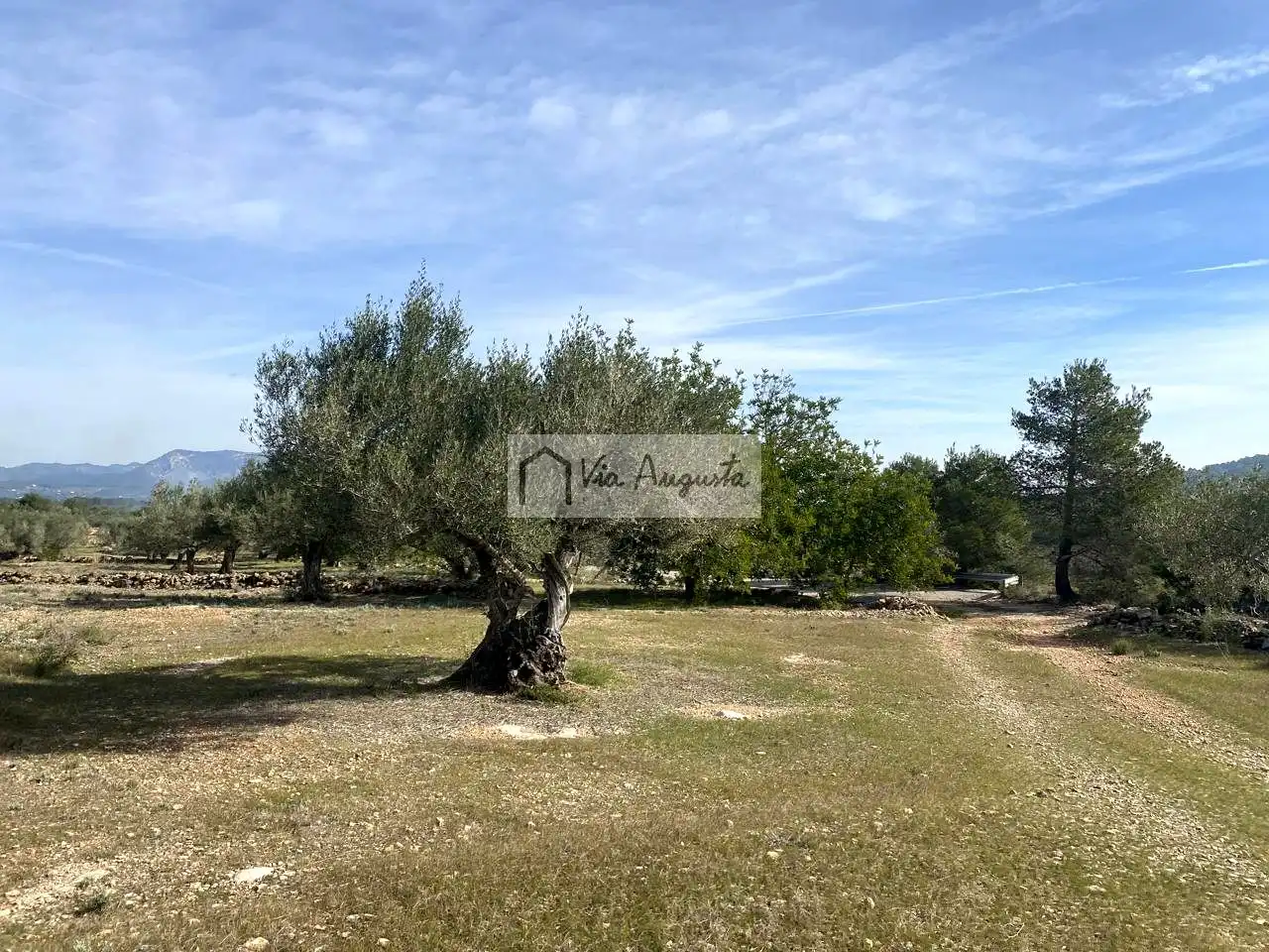 Terreno rustico in vendita a Planas, imagen 32
