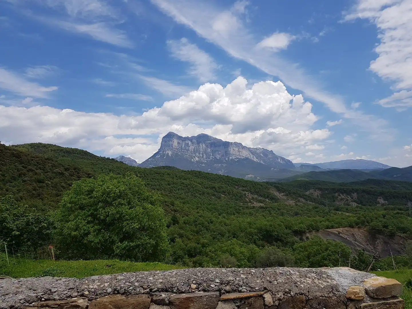 Vista exterior de Casa o chalet en venta en El Pueyo de Araguás con Jardín privado