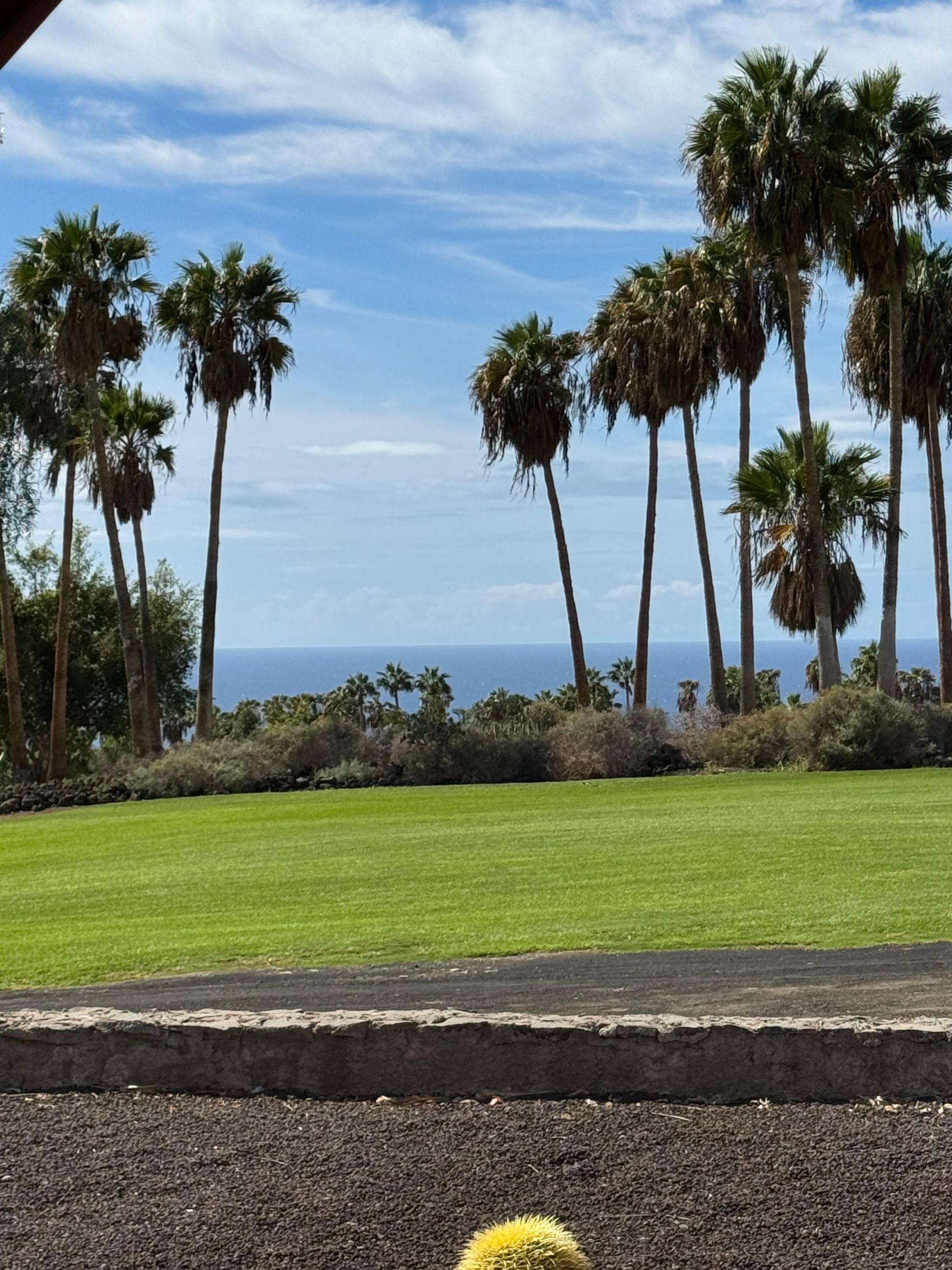 Exterior view of Single-family semi-detached to rent in Adeje  with Terrace and Furnished