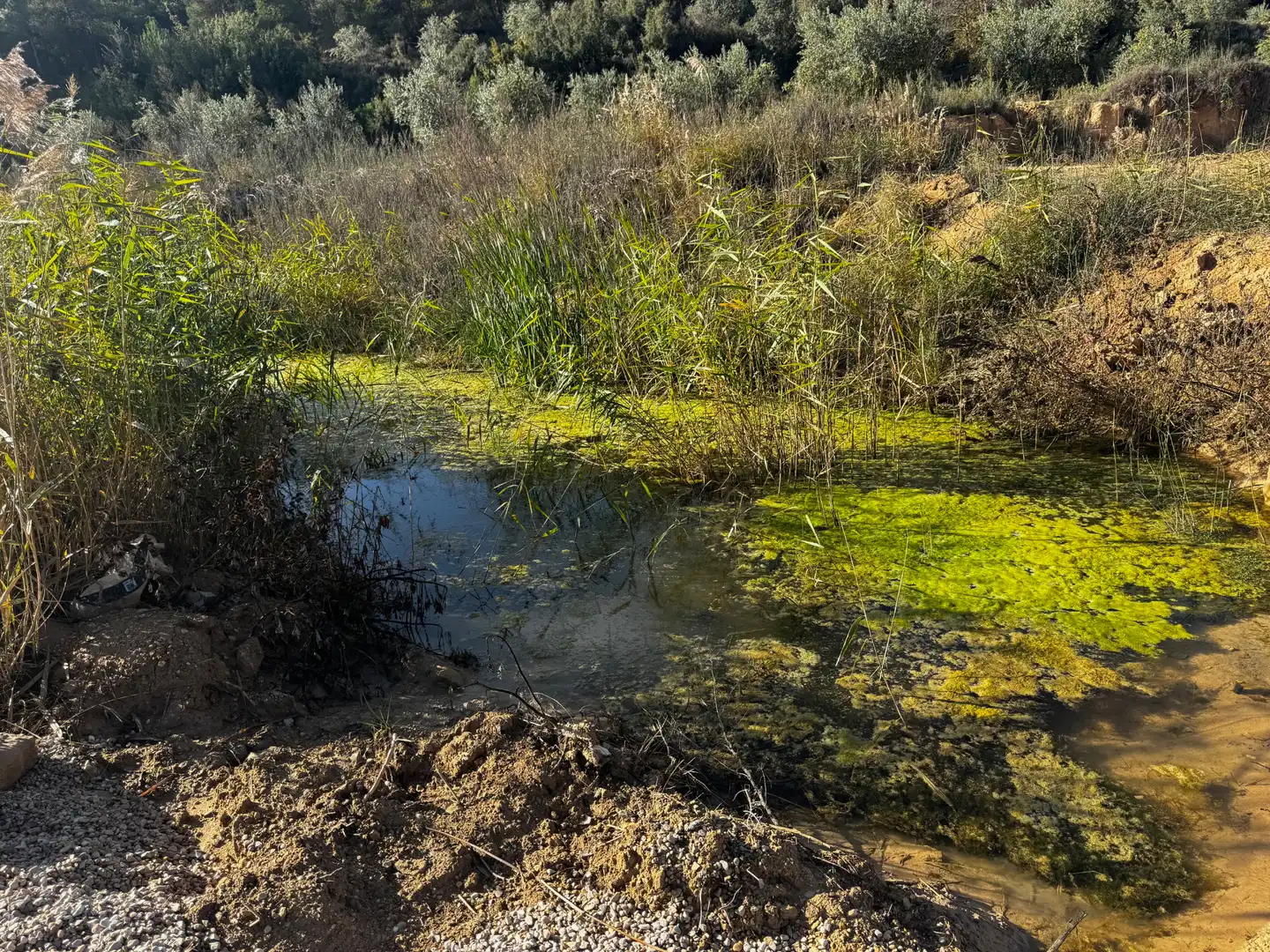 Terreno en venta en N/A, -1, Torre del Compte