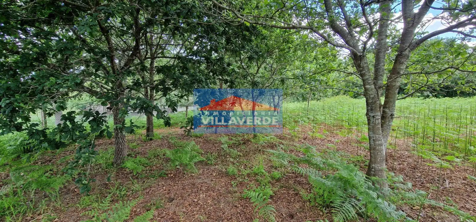 Residential for sale in Bueu