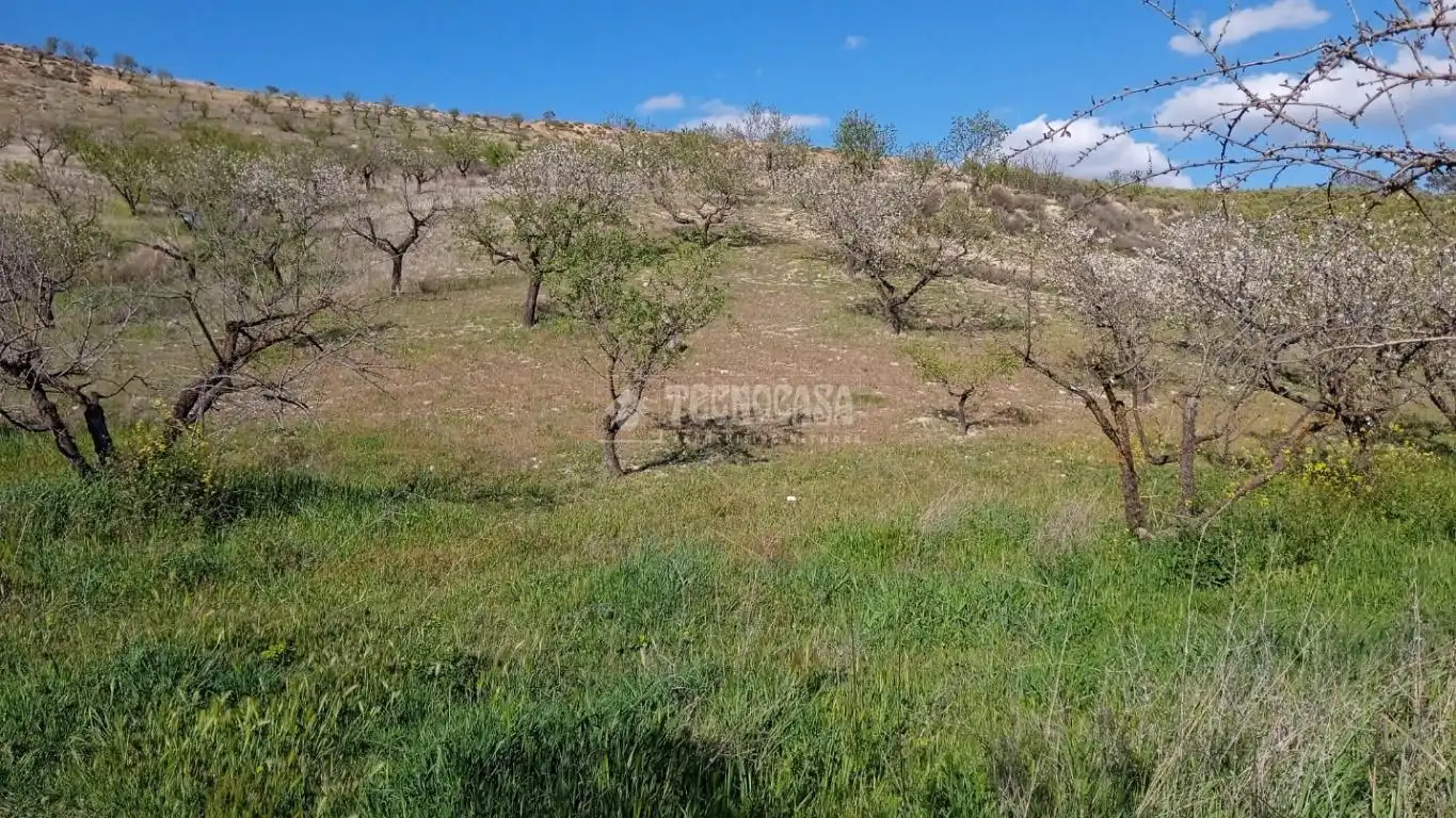 Terreny en venda en Gójar