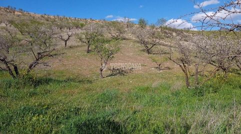 Terrenos en venta en Gójar, immagine 4