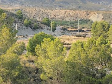 Terreni e lotti in vendita a Pedanías Norte