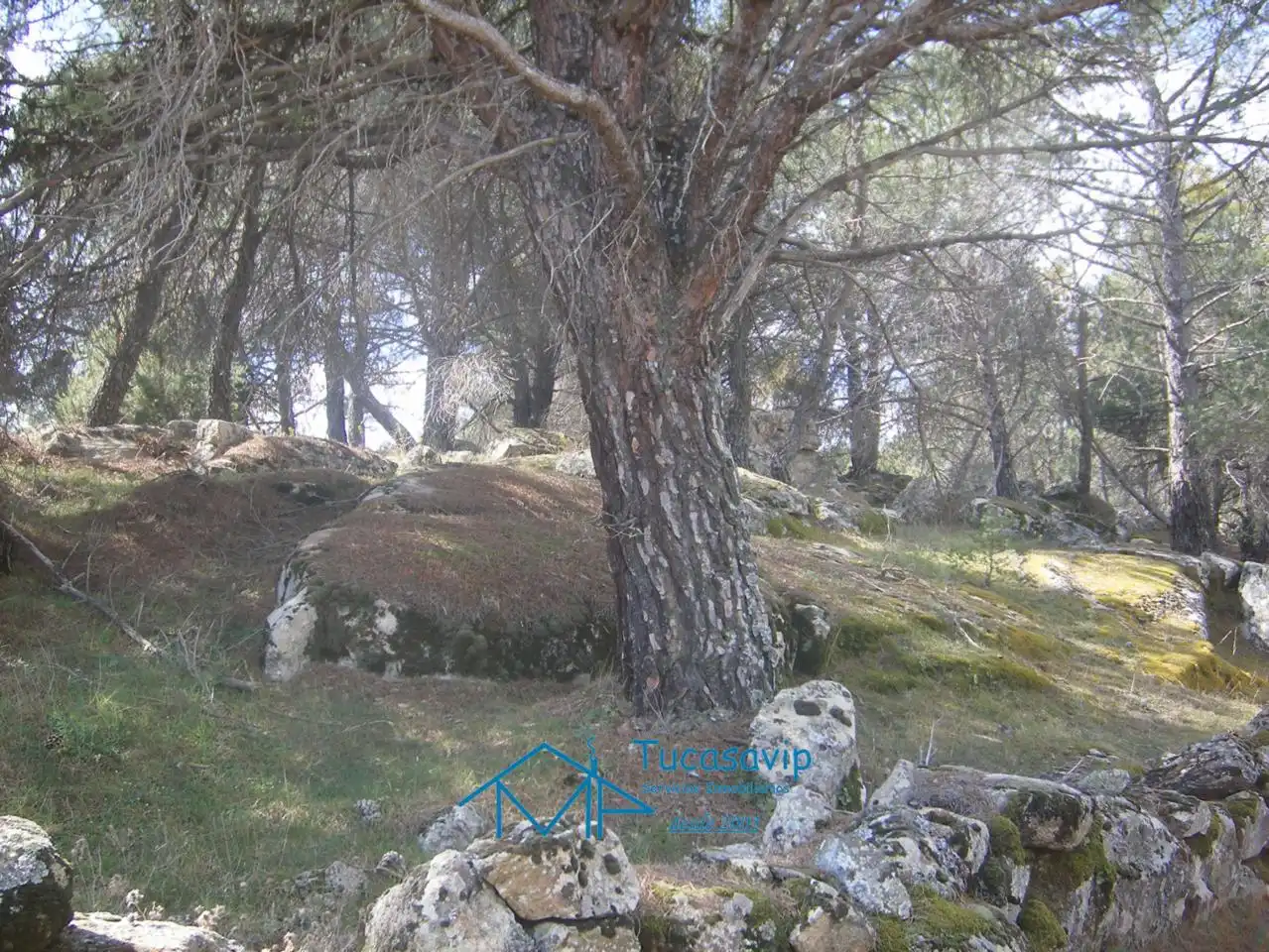 Terreni e lotti in vendita a Cebreros, imagen 3