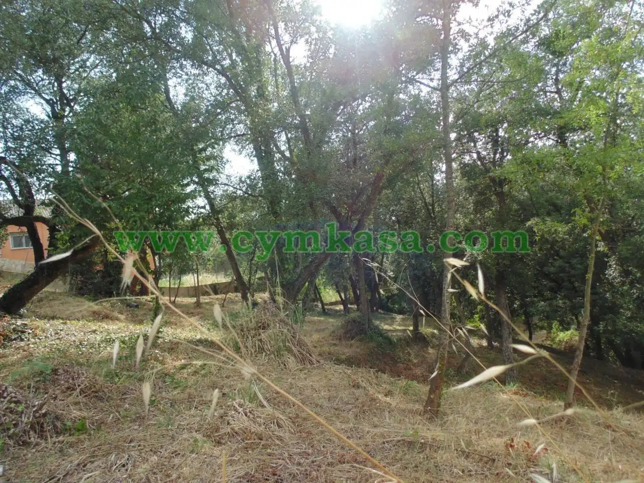 Terreno rustico in vendita a Terrabrava - Tordera Parc, imagen 5