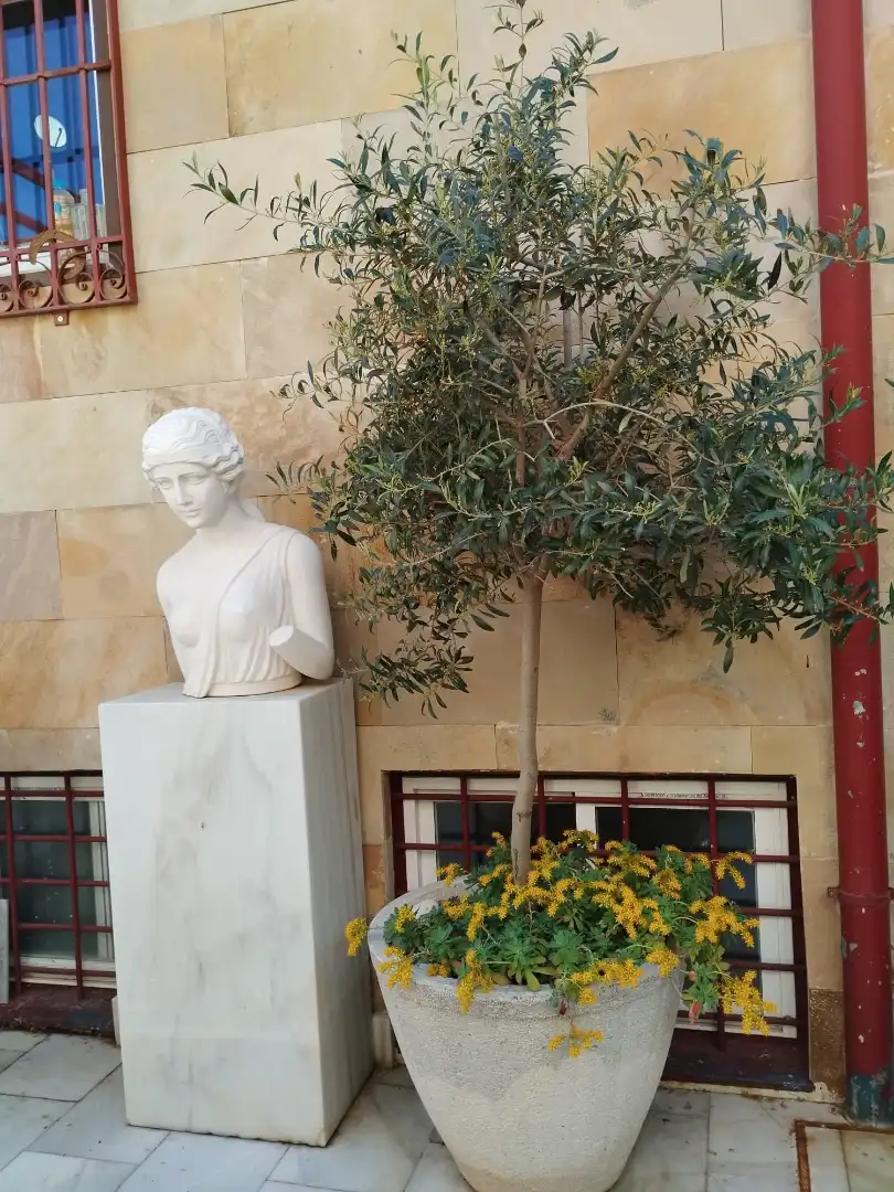 Jardín de Casa adosada en venta en Madrid con Aire acondicionado, Calefacción y Jardín privado