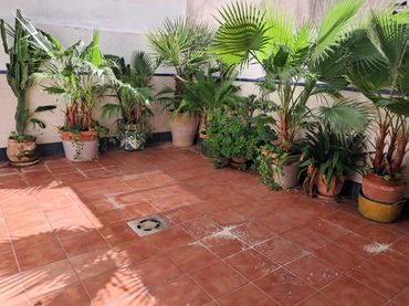 Adosado con balcón en venta en Carrer de les Oliveretes 73