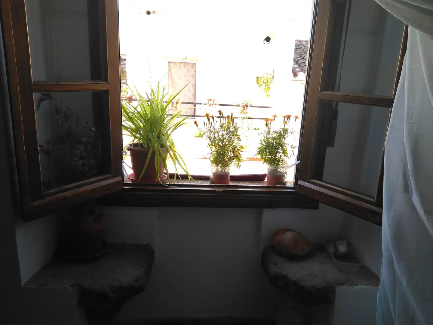 Terraza de Casa o chalet en venta en Alcántara